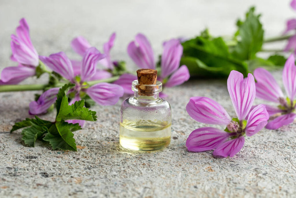 Una bottiglia di olio essenziale con pianta di malva silvestre fresca in fiore su fondo bianco - Foto, immagini