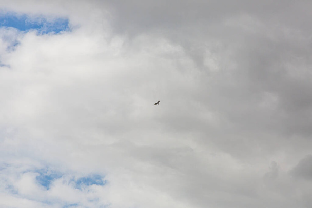 Obrázek částečně zatažené a částečně jasné oblohy během dne bez obzoru - Fotografie, Obrázek