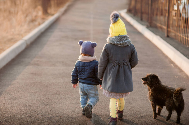 ένα αγόρι και ένα κορίτσι, ντυμένοι με ζεστά μπουφάν και πολύχρωμα καπέλα, με ένα μαύρο σκυλί κοντά, κρατήστε σφιχτά τα χέρια και περπατήστε ευθεία κατά μήκος του δρόμου - Φωτογραφία, εικόνα