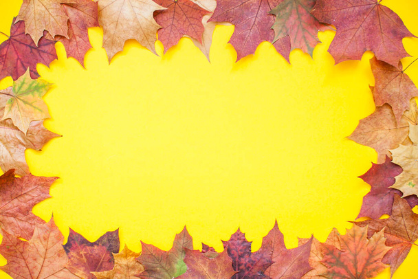 Frame made of red and orange autumn maple leaves on a bright yellow background. Layout. - Foto, afbeelding