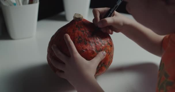 Jeden chlapec zdobení a malování dýně pro Halloween - Záběry, video