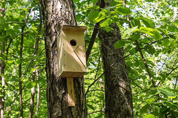 drewniany domek dla ptaków zamontowany na pniu drzewa, dbający o ptaki - Zdjęcie, obraz