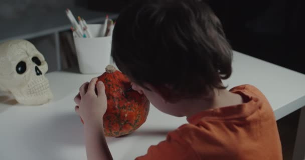 Ein Junge dekoriert und bemalt Kürbisse für Halloween - Filmmaterial, Video