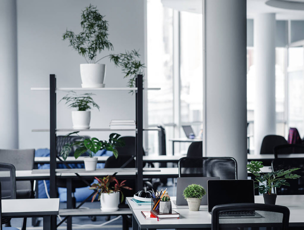 Moderní útulný podkrovní kancelářský interiér a nový normální. Spousta rostlin v pracovně se stoly - Fotografie, Obrázek