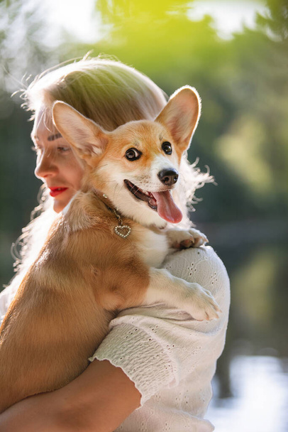 Woman holding in her arms Purebred Welsh Corgi Pembroke dog - Photo, Image