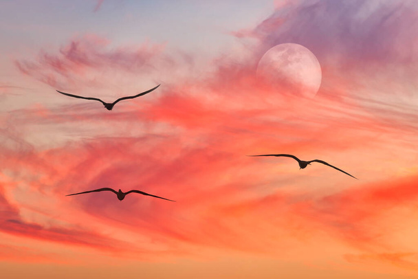 Ein bunter Himmel bei Sonnenuntergang mit drei Vogelsilhouetten und einem Vollmond, der am roten Himmel aufgeht - Foto, Bild
