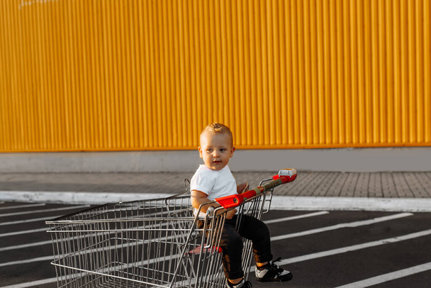 Happy little kid sitting in shopping cart, family shopping - Фото, изображение