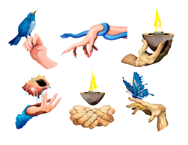 Collection of different hands.Set of arm with a big blue butterfly, snake, a cup of fire,seashell, blue bird. Vector illustration isolated. Sticker, symbol, icon for your design. White background. - Vector, Image