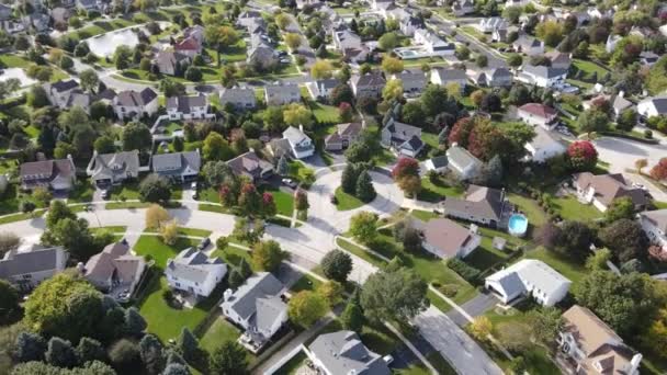 Visão aérea aérea de árvores coloridas de outono casas residenciais e quintais ao longo da rua suburbana na área de Chicago. Centro-Oeste dos EUA - Filmagem, Vídeo