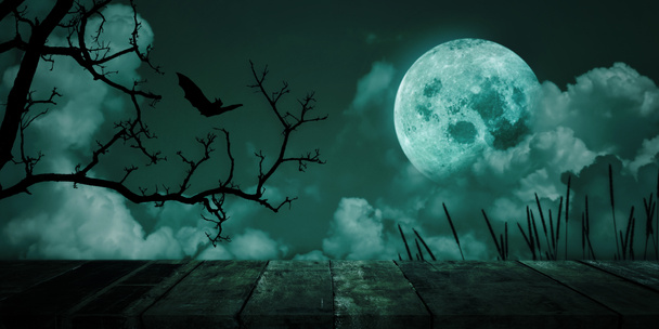 Fondo de Halloween. Bosque espeluznante, Mesa de madera vintage con cielo de luna llena. Copiar espacio para texto. - Foto, imagen