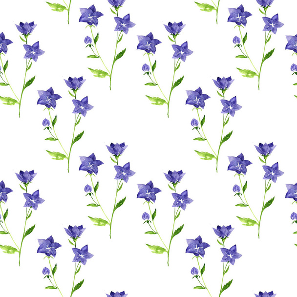 seamless pattern with watercolor drawing balloon flower - Photo, image