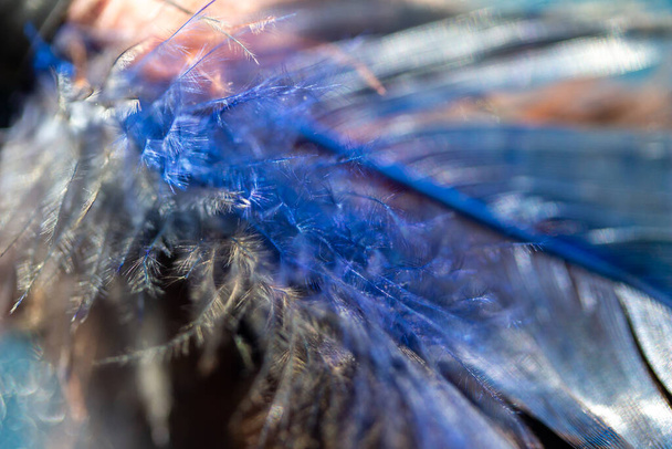 Fondo de arte abstracto macro de marco completo de texturas de plumas azules y blancas naturales, con fondo desenfocado y espacio de copia - Foto, imagen