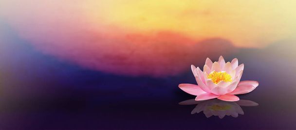 Lotusblume auf dem Wasser mit Sonnenaufgang Hintergrund. - Foto, Bild