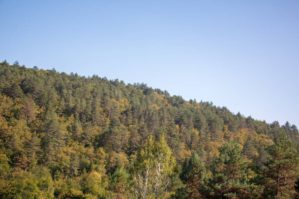 Δέντρα παρατάσσονται πάνω από το βουνό. Σαφράνμπολου / Καραμπούκ - Φωτογραφία, εικόνα