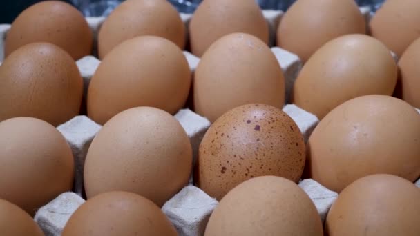 Uova di pollo crude in scatola di uova - Filmati, video