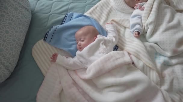 Kaksi vastasyntynyttä vauvaa, kaksoset nukkuvat peitossa sängyssä kotona. Unelmointi - Materiaali, video