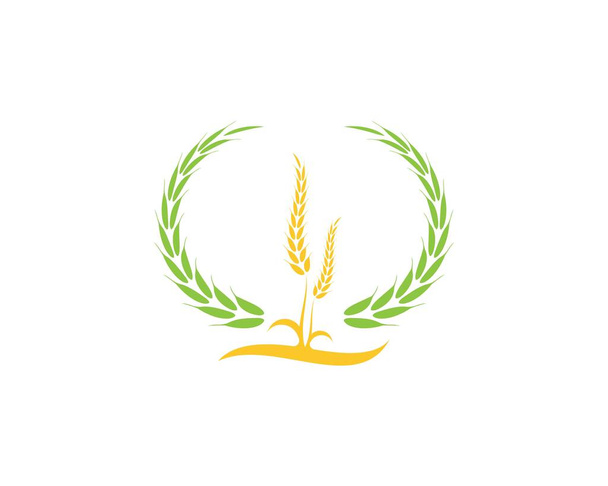 Trigo arroz agricultura logotipo vector plantilla - Vector, Imagen
