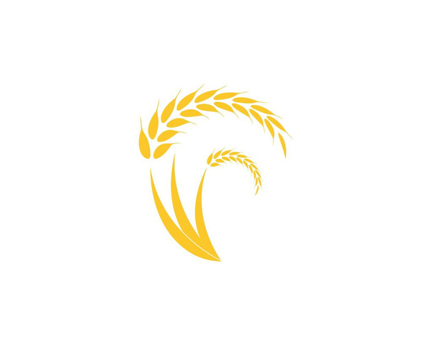 Логотип сільського господарства пшеничного рису Векторний шаблон
 - Вектор, зображення