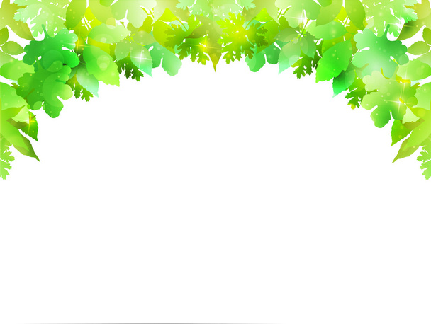pflanzliches Blatt Hintergrund - Vektor, Bild