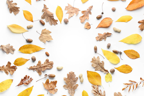 Schöne Herbst-Komposition auf weißem Hintergrund - Foto, Bild