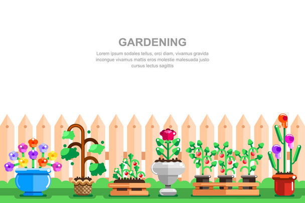 Maison de campagne jardinage illustration vectorielle. Pots avec semis de légumes, de fraises et de fleurs près d'une clôture en bois. Paysage d'été. - Vecteur, image