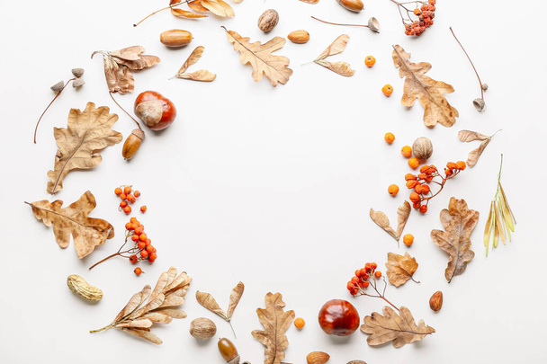 Bela composição de outono no fundo branco - Foto, Imagem