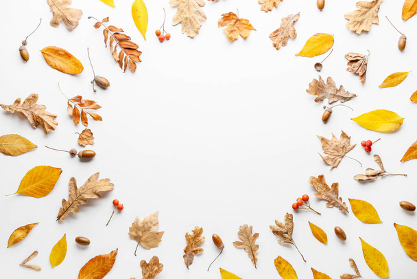 Belle composition d'automne sur fond blanc - Photo, image