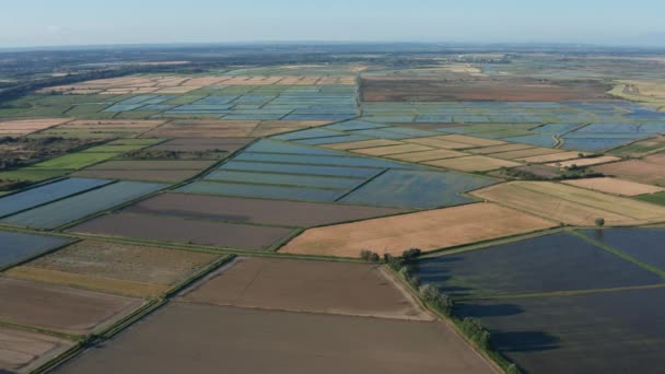 Reisfelder bunte Luftaufnahme Frankreich Gard Reis der Camargue - Filmmaterial, Video