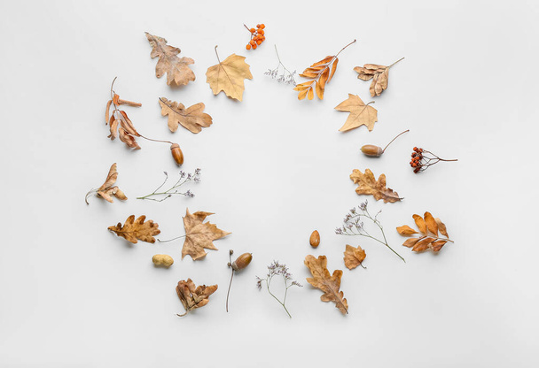 Beautiful autumn composition on white background - Foto, Imagen