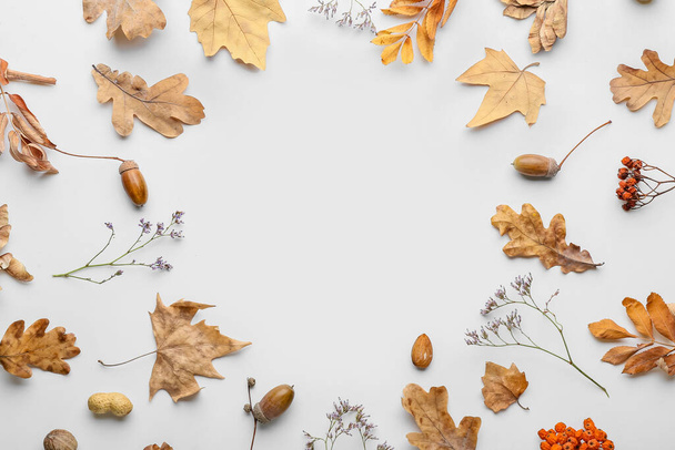 Beyaz arkaplanda güzel sonbahar kompozisyonu - Fotoğraf, Görsel