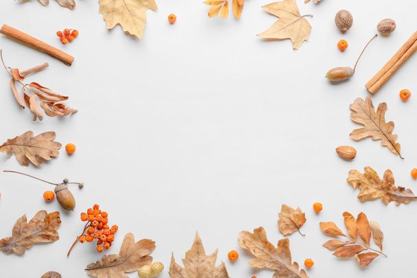 Piękna jesienna kompozycja na białym tle - Zdjęcie, obraz