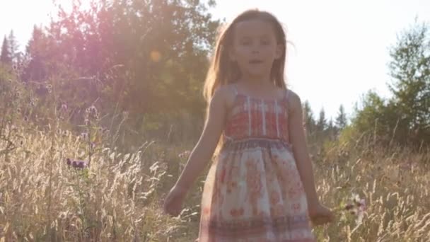 Küçük kız yaz tarlasında yürüyor - Video, Çekim