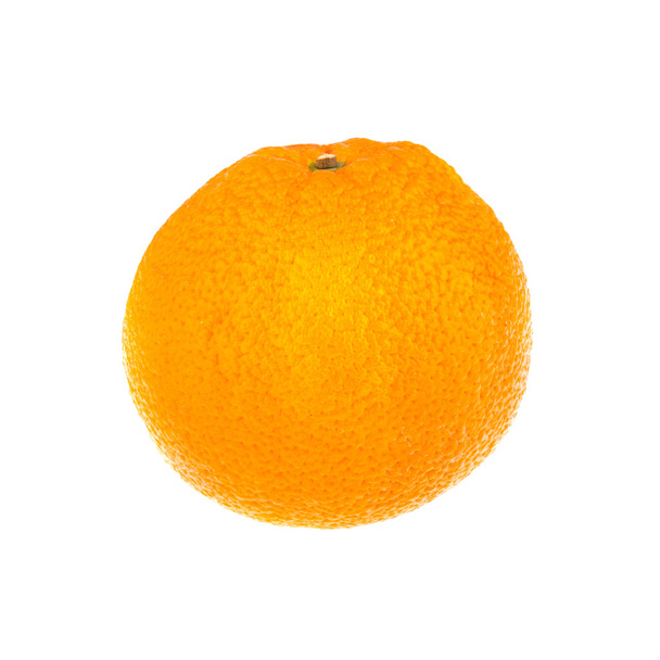 白地に孤立したオレンジ. - 写真・画像