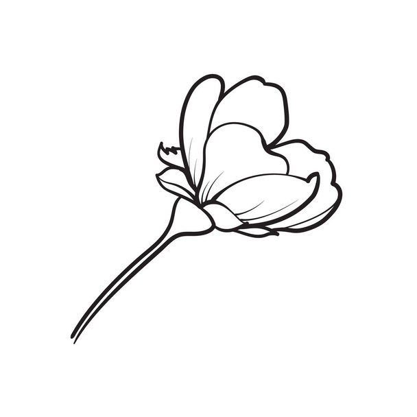 Hand drawn design elements sakura flowers collection. - Vector, Image
