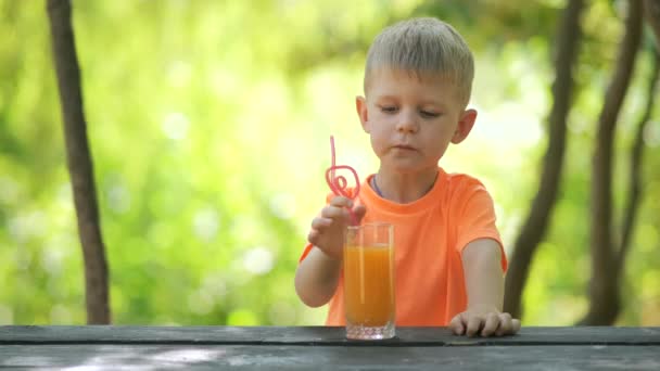 Ritratto di un bambino. Un bambino si siede a un tavolo nel parco e beve succo attraverso una cannuccia. Luminosa giornata di sole in estate. - Filmati, video