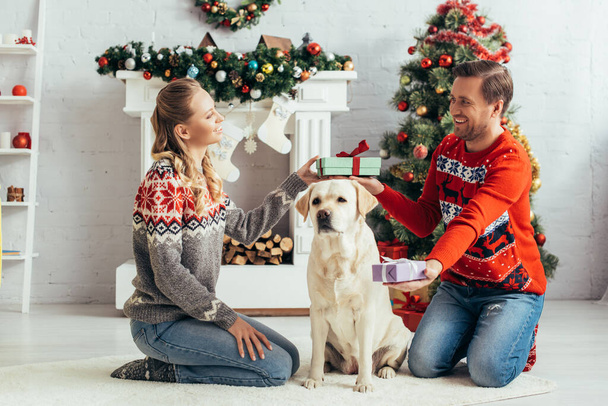 sonriente pareja intercambiando regalos mientras está sentado cerca de perro y árbol de Navidad en casa - Foto, Imagen