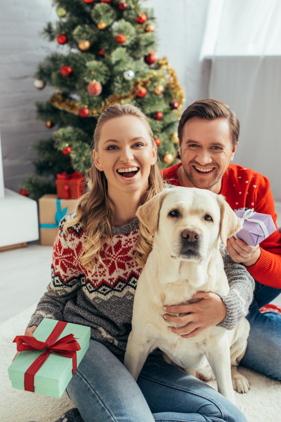 счастливая пара с подарками рядом с собакой и рождественской елкой дома - Фото, изображение