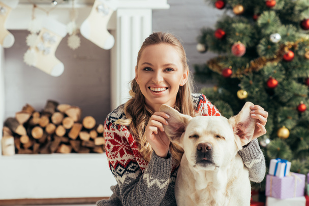 χαρούμενη ευτυχισμένη γυναίκα με πουλόβερ που παίζει με λαμπραντόρ κοντά στο χριστουγεννιάτικο δέντρο  - Φωτογραφία, εικόνα