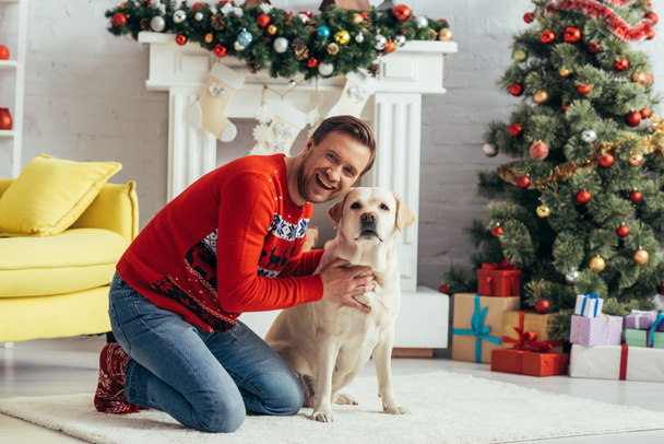 Aufgeregter Mann im Pullover kuschelt Labrador neben geschmücktem Weihnachtsbaum  - Foto, Bild