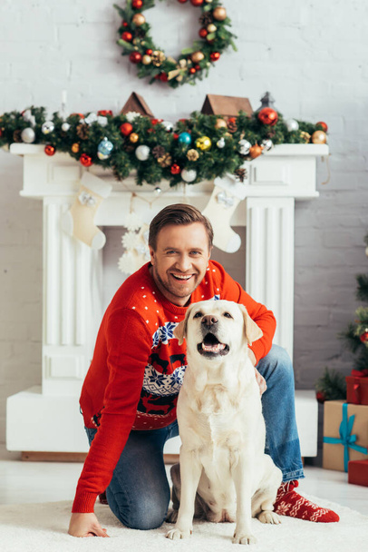gioioso uomo in maglione coccole labrador in appartamento decorato, concetto di Natale  - Foto, immagini