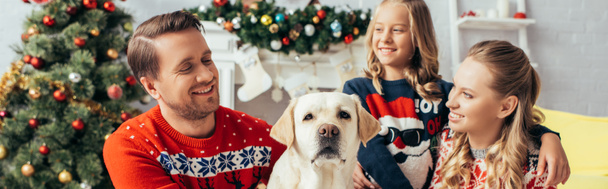 familia feliz en suéteres mirando labrador cerca del árbol de Navidad decorado, pancarta - Foto, imagen