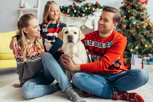 счастливая семья в свитерах глядя на лабрадора и украшенные елки  - Фото, изображение
