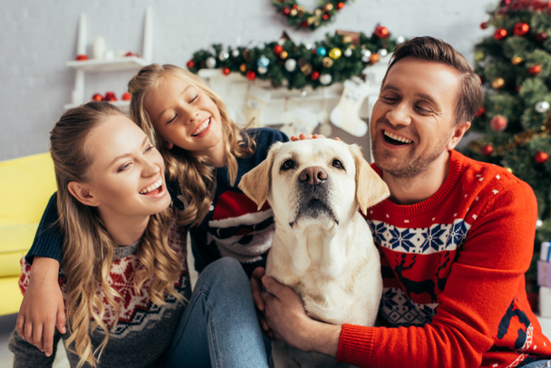 familia feliz en suéteres mirando labrador cerca de la decoración de Navidad  - Foto, Imagen