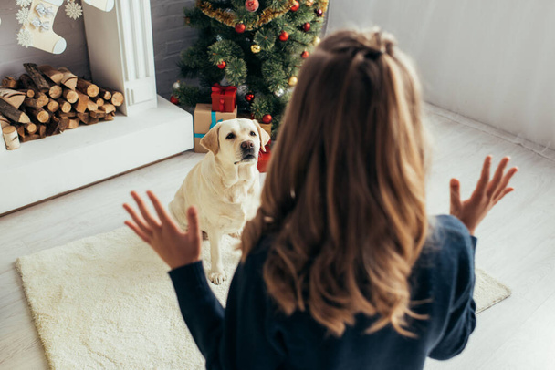 selective focus of dog looking at girl gesturing in decorated living room, christmas concept  - Photo, Image