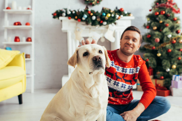 Labrador near man in sweater and christmas tree on blurred background - Photo, image