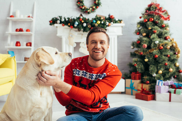 fröhlicher Mann im roten Pullover kuschelt Labrador am Weihnachtsbaum - Foto, Bild