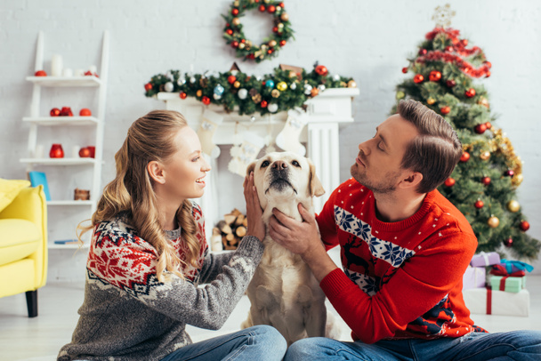 pleased couple in sweaters cuddling labrador in decorated apartment on christmas  - Fotó, kép