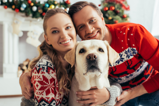 joyful couple in knitted sweaters hugging labrador in decorated apartment on christmas  - Photo, Image