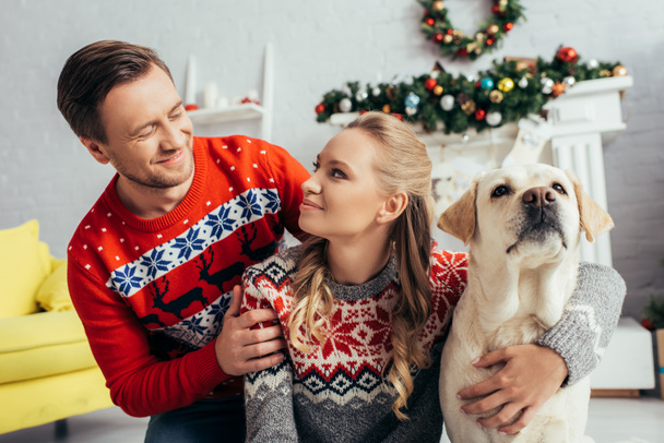 happy couple in knitted sweaters looking at each other near labrador in decorated apartment on christmas  - Foto, immagini