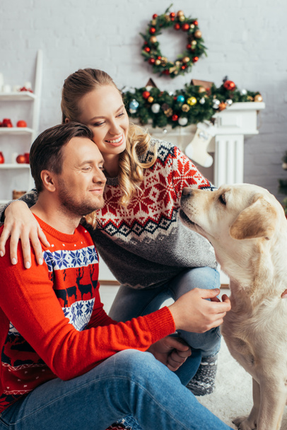 happy couple in knitted sweaters looking at labrador in decorated apartment on christmas  - Photo, Image